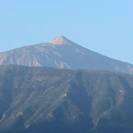 Centrico Y Coqueto 公寓